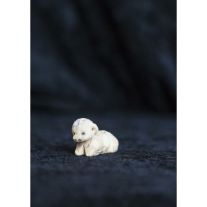 Beige, liten - Sau liggende