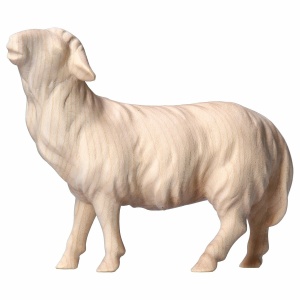 Sau stående - Krybbefigurer "Komet"