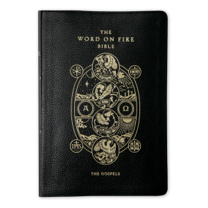 The Word on Fire Bible (Volume I): The Gospels - Skinn