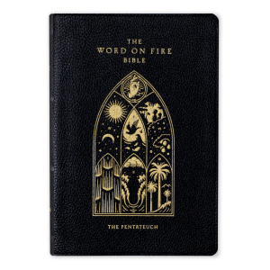 The Word on Fire Bible (Volume III): The Pentateuch - Skinn