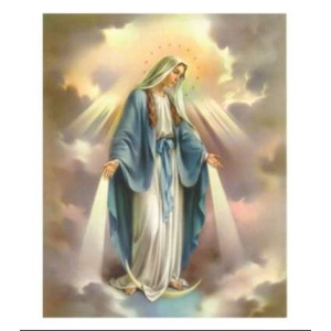 Bilde av Mirakuløs Madonna, 20x25cm